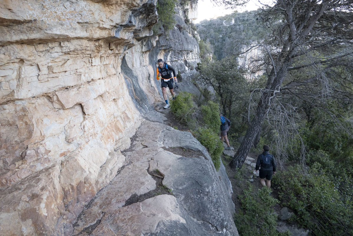 aamp.cat tweet media