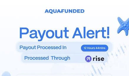 Waleedbanks tweet media