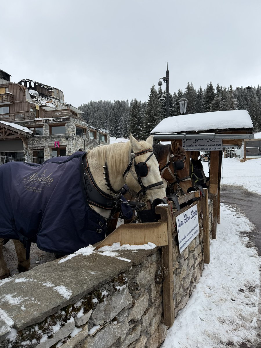 Natalia Costa | Houston tweet media