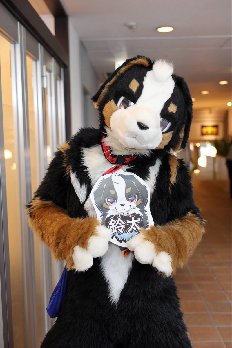 ふうた【futa】 tweet media