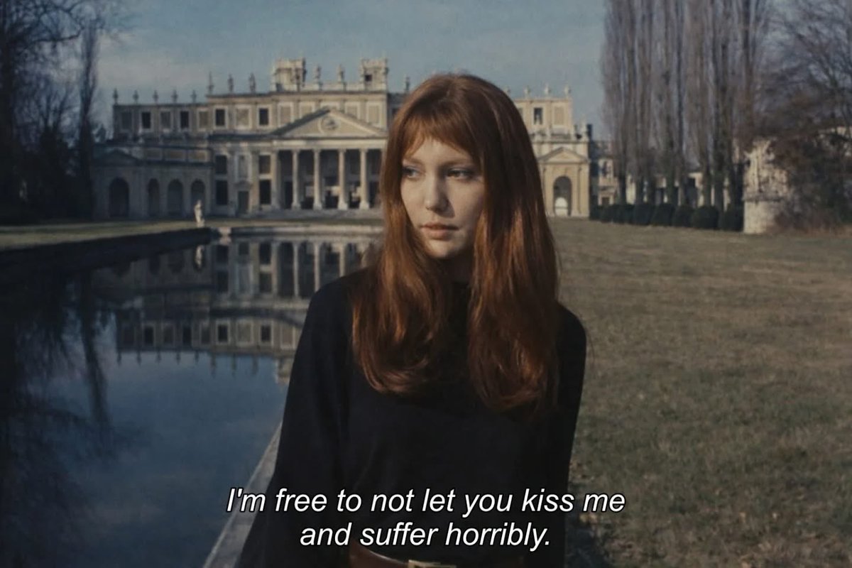 Wild at Heart tweet media