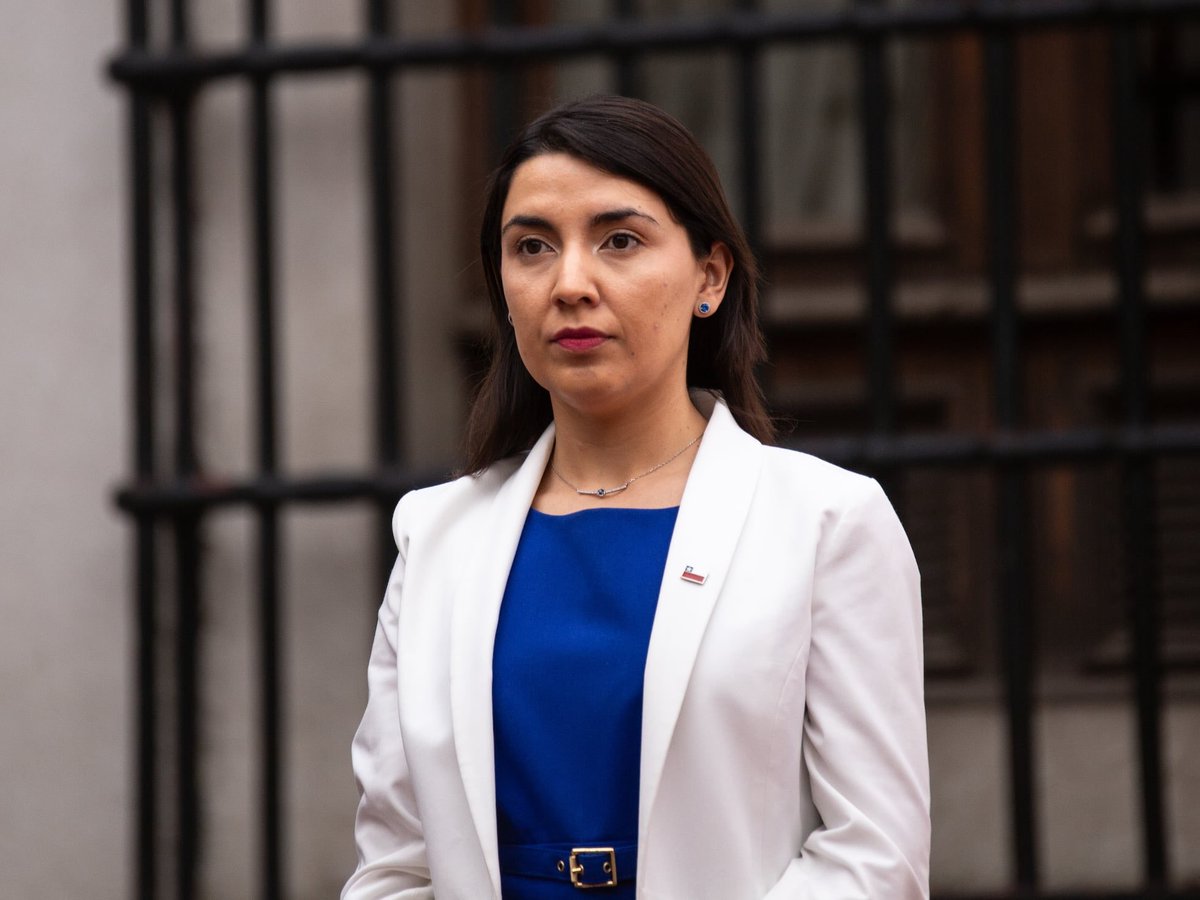 Carlitos Primavera 🌼 tweet media