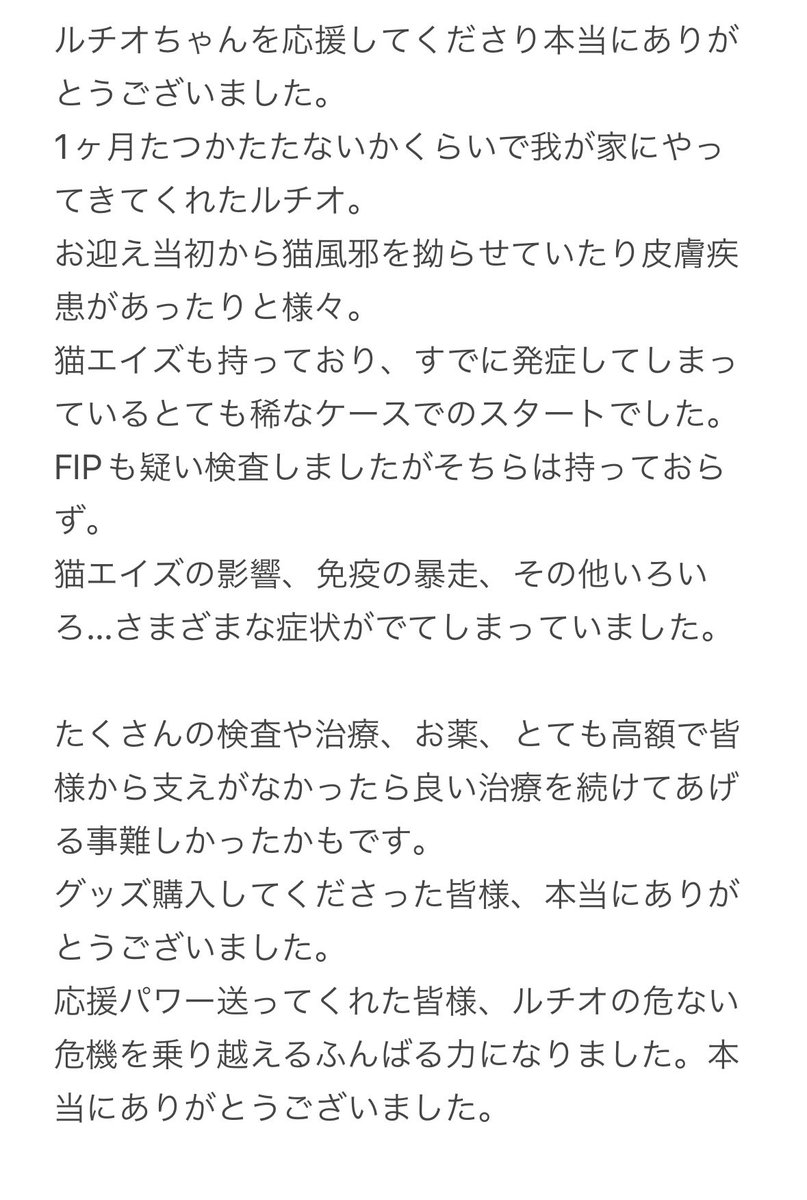 赤綿@4月17日〜展示参加(at猫の額) tweet media