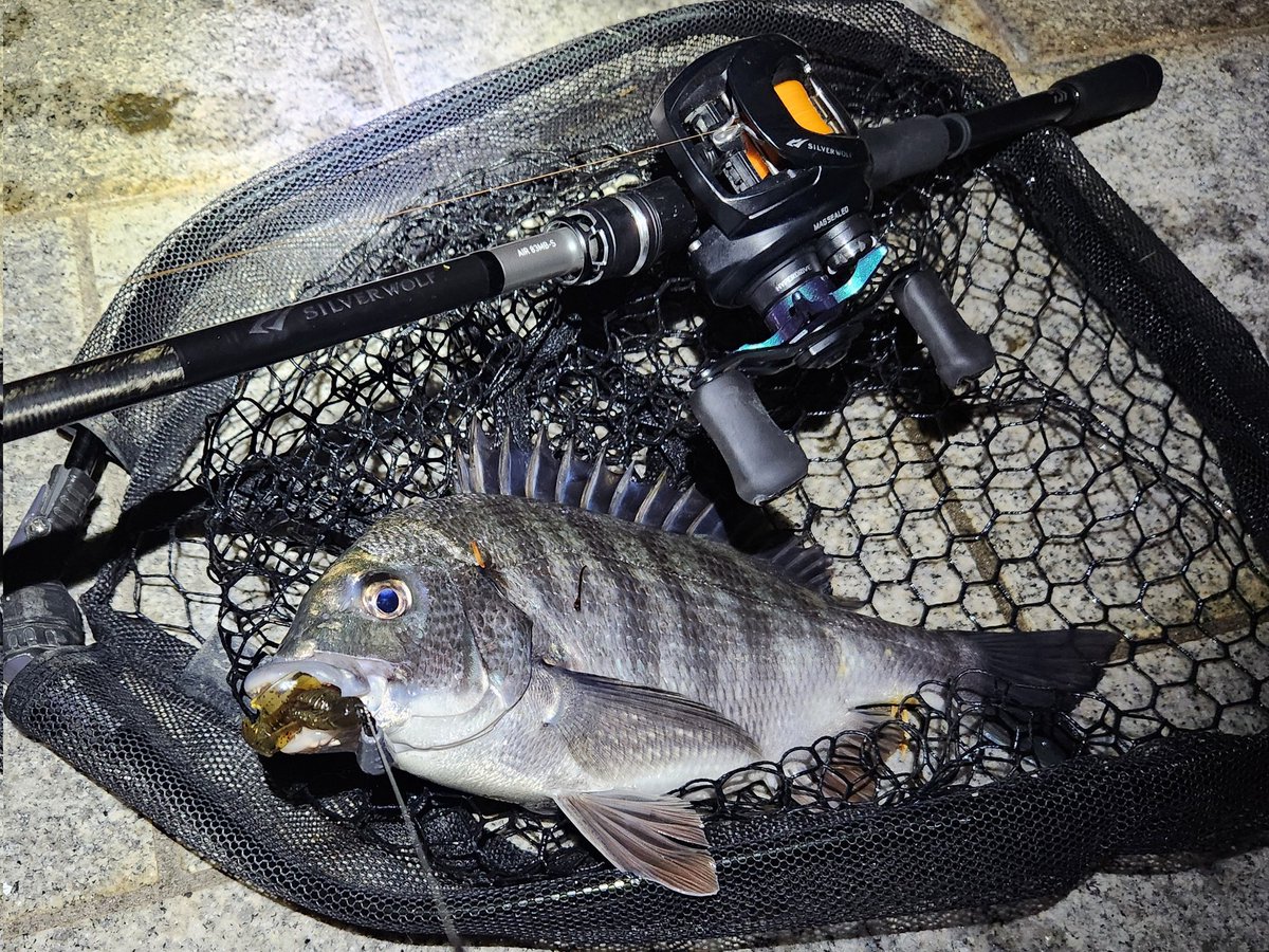 釣りに行く回数が多い人(回数さん) tweet media