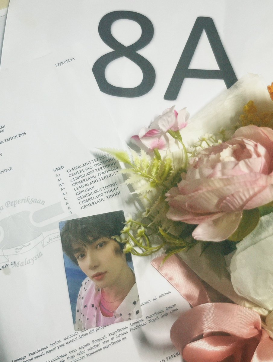 amy⁴² tweet media