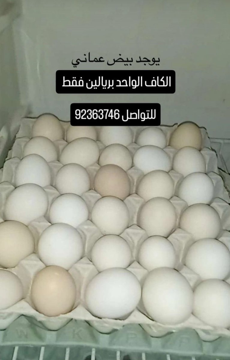بسمه المقبالية tweet media