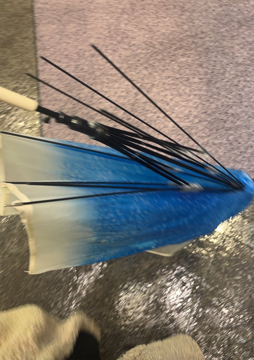 武藤志織🧂 tweet media