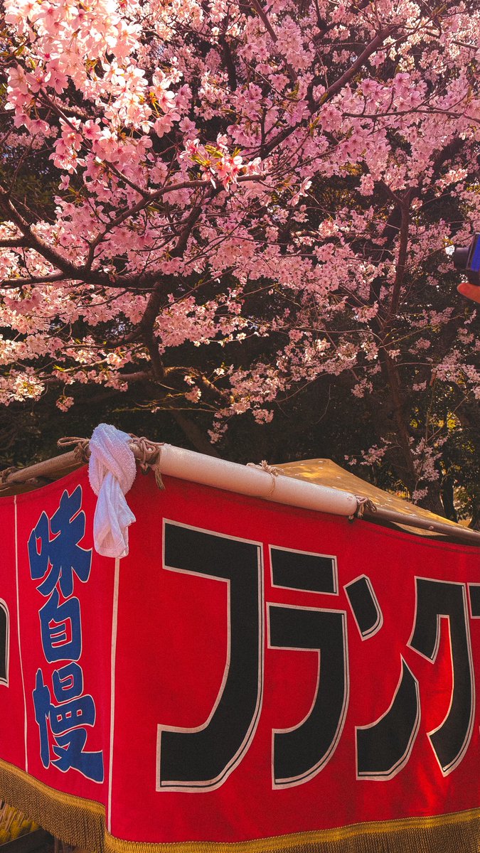 Tsukki || COMMISSIONS OPEN tweet media