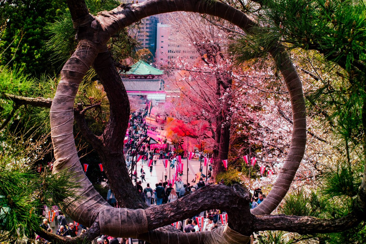 Tsukki || COMMISSIONS OPEN tweet media