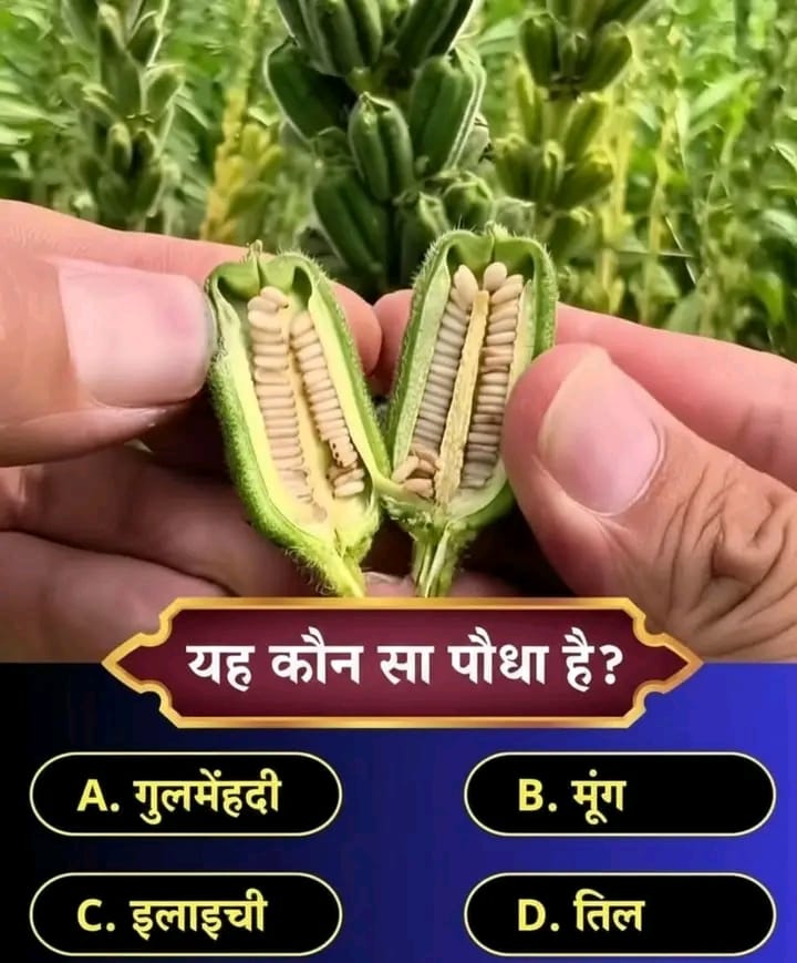 𝗗𝗲𝘀𝗶 𝗩𝗮𝗶𝗱𝘆𝗮 tweet media