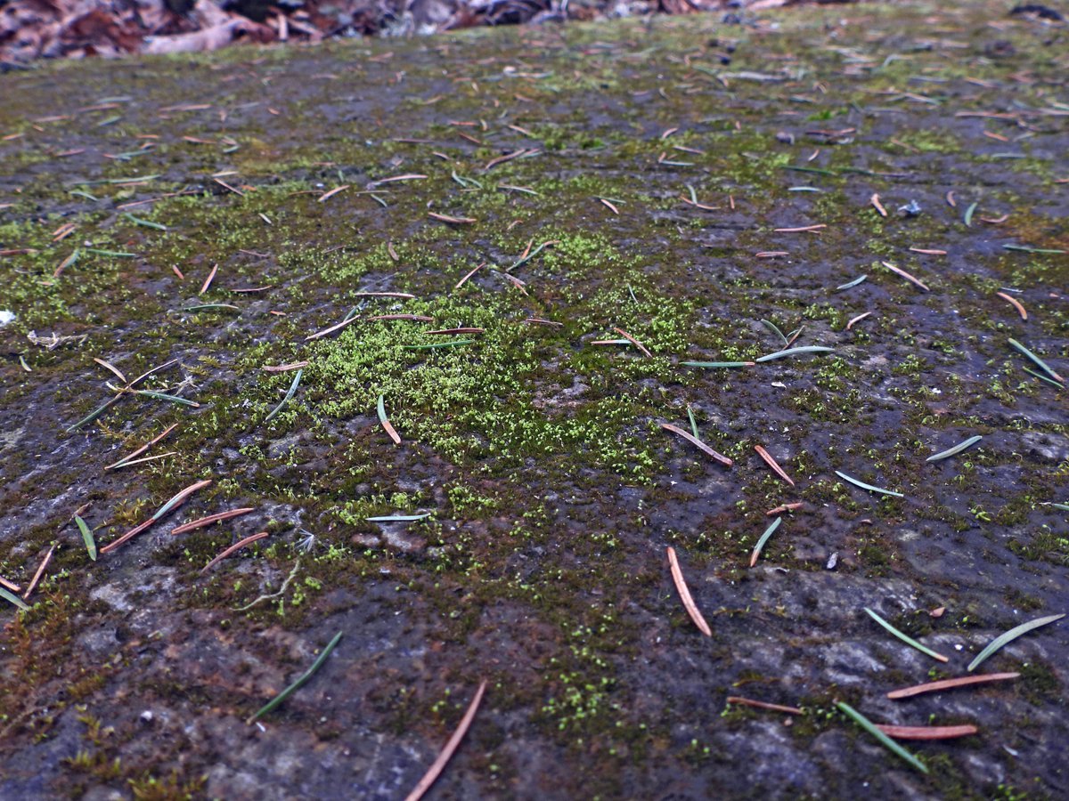 Julita Kluša tweet media