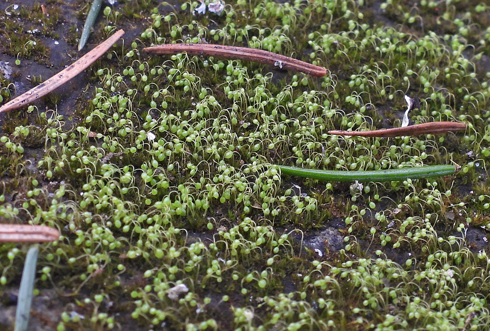 Julita Kluša tweet media