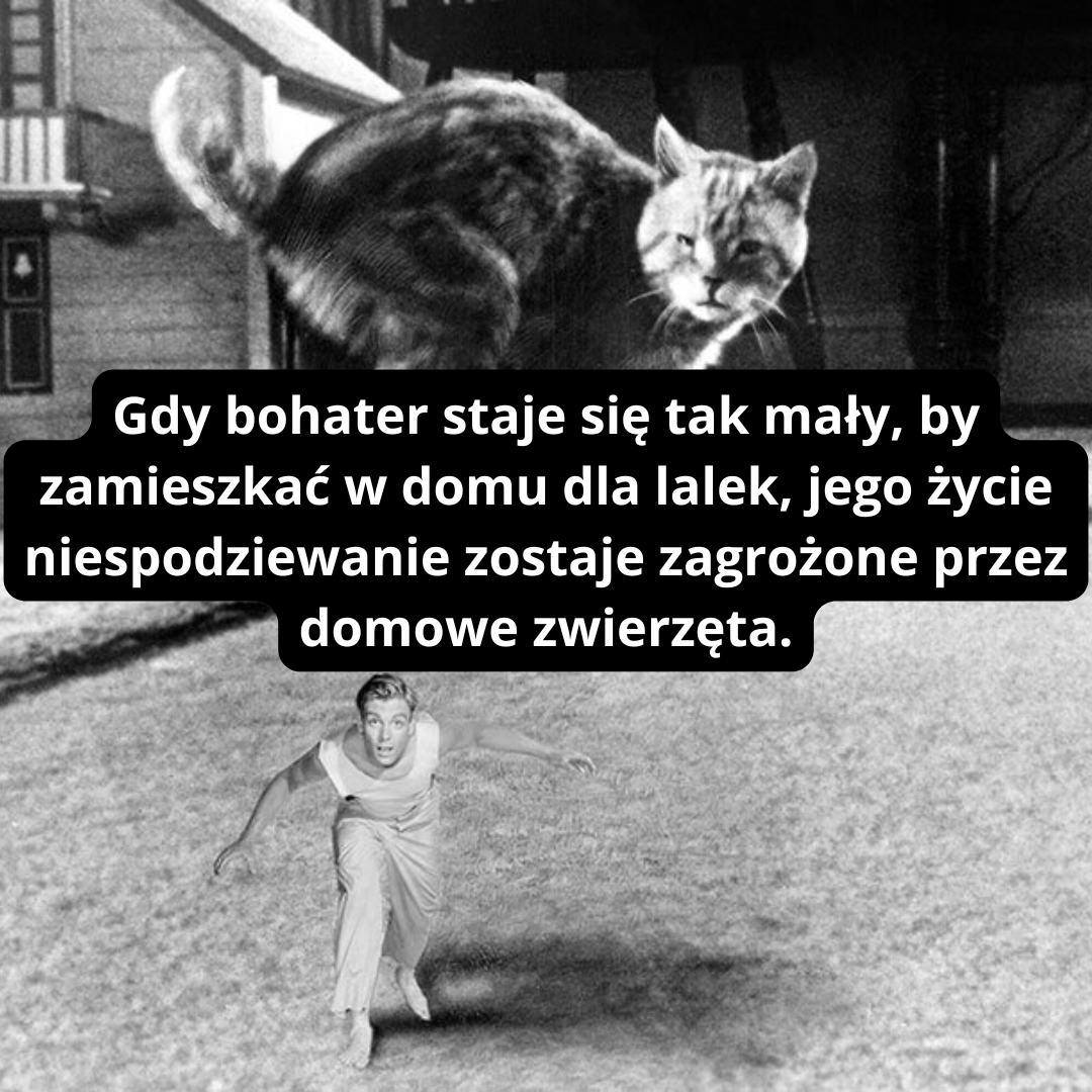 OldCamera.pl tweet media