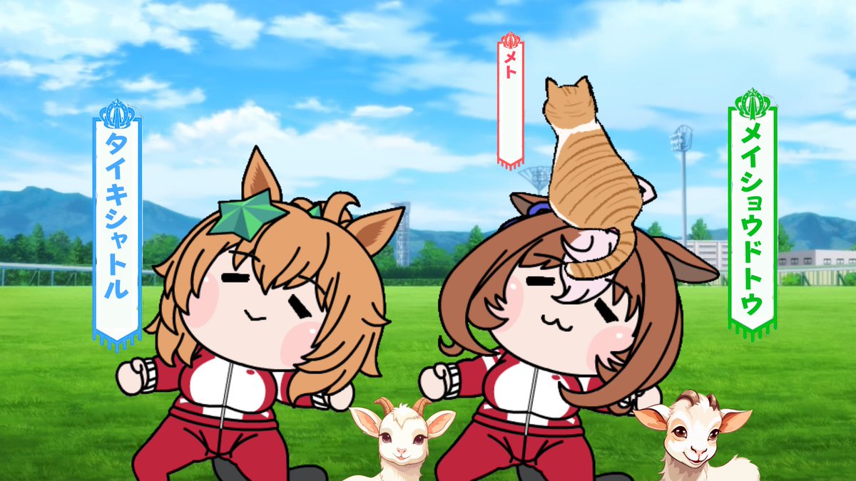 海猫亭。🍛 tweet media