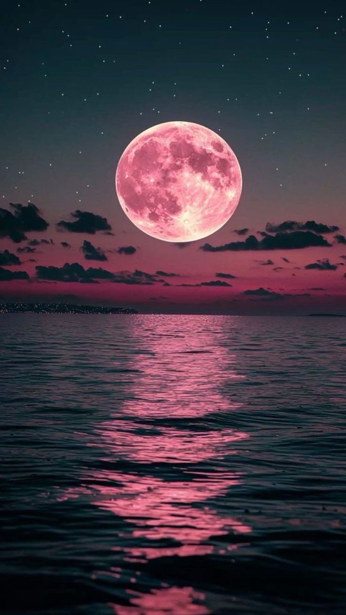 Nature Beauty tweet media