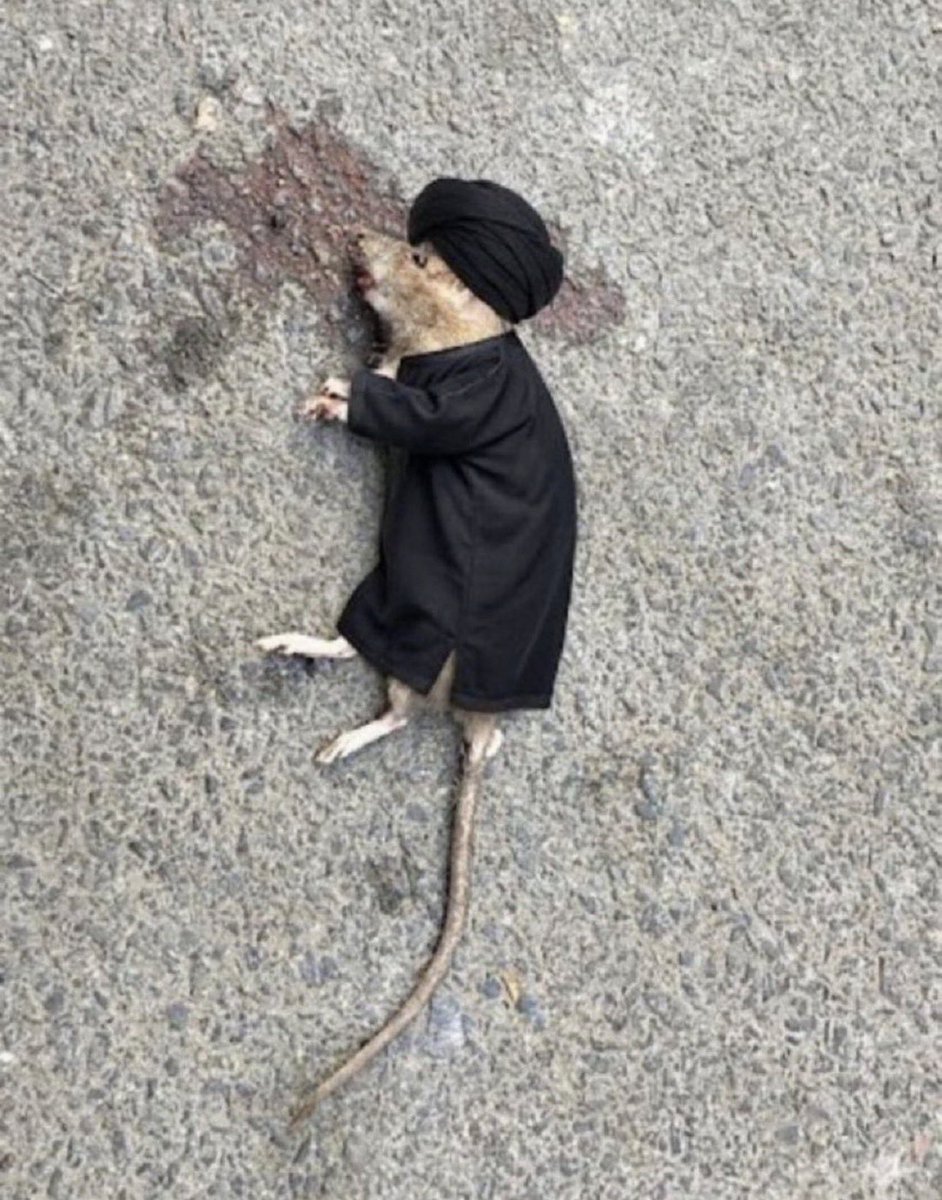 الياس | AlMutairi tweet media