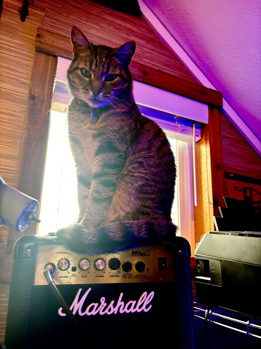 Raylene - Undercover Indie ® tweet media