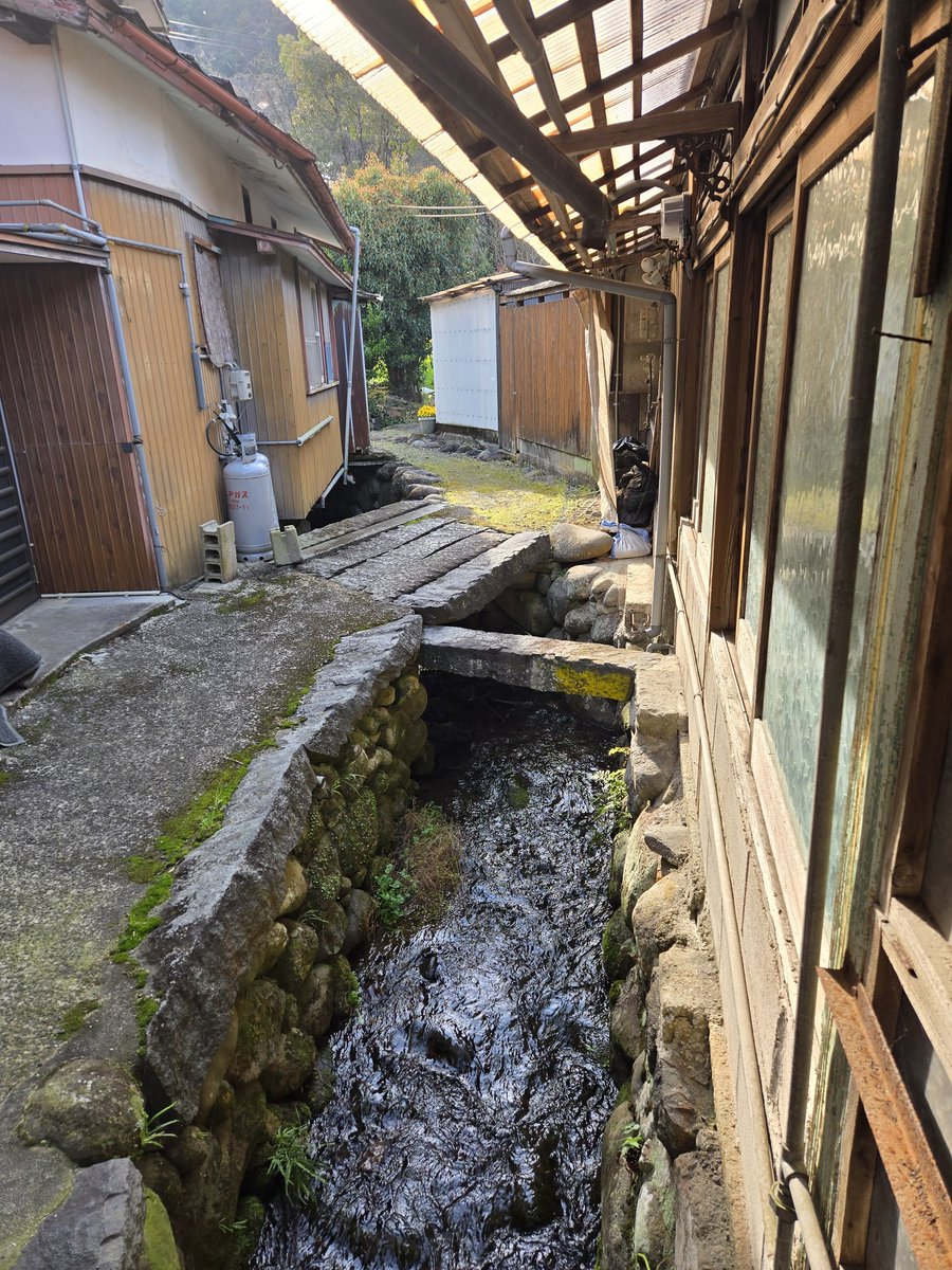 いこ～ tweet media