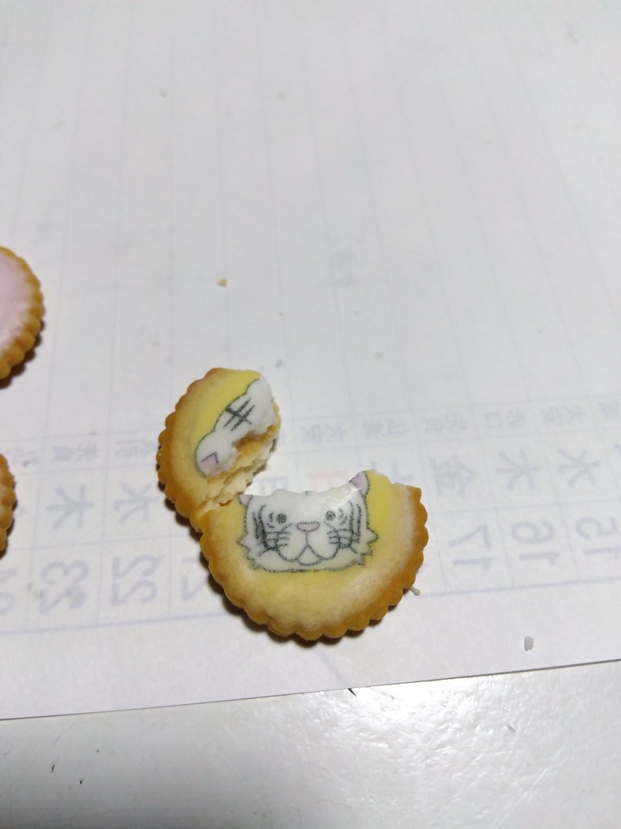 かぷちぃの tweet media