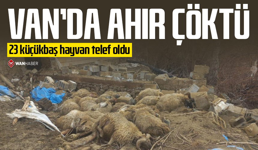 Wan Haber tweet media