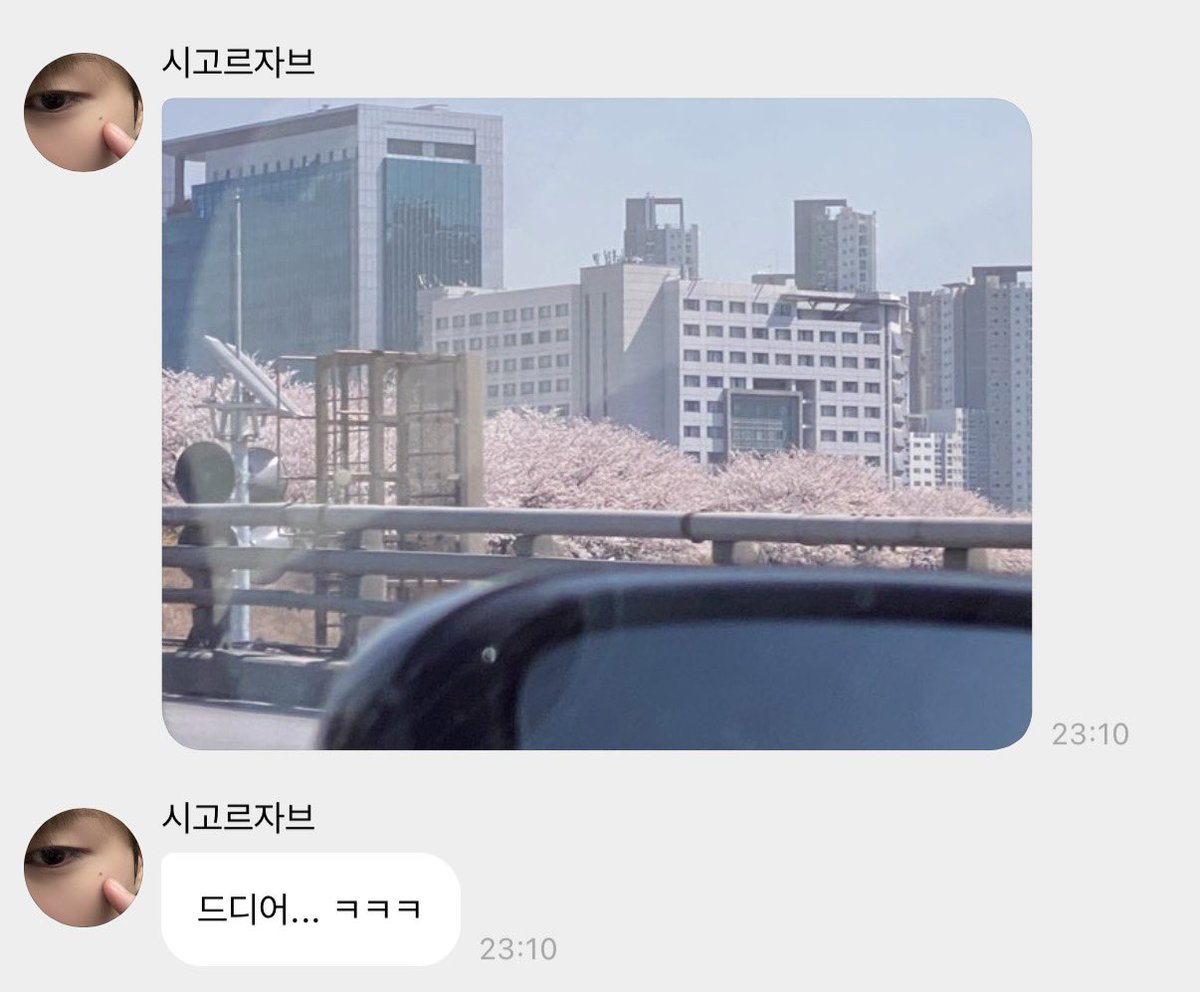 땡구라미 tweet media