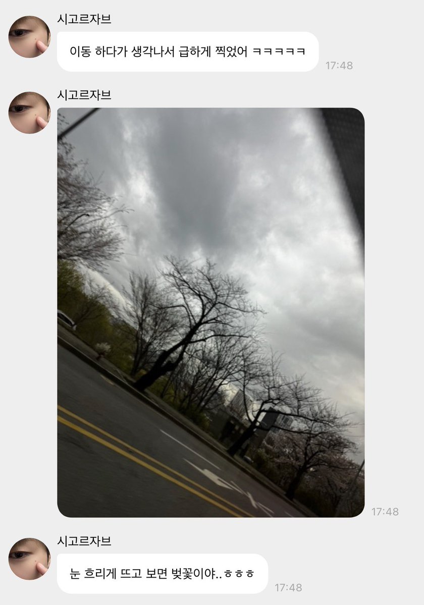 땡구라미 tweet media