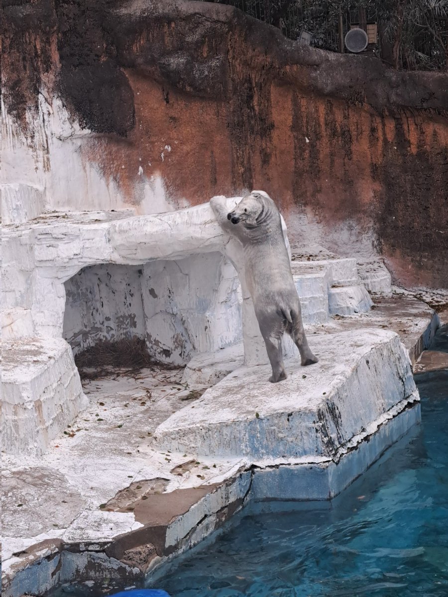 あんちゃん tweet media