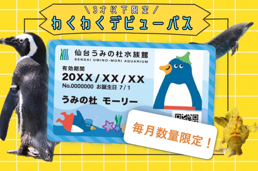 仙台うみの杜水族館】 4/1より、年間パスポートをお持ちの方の特典
