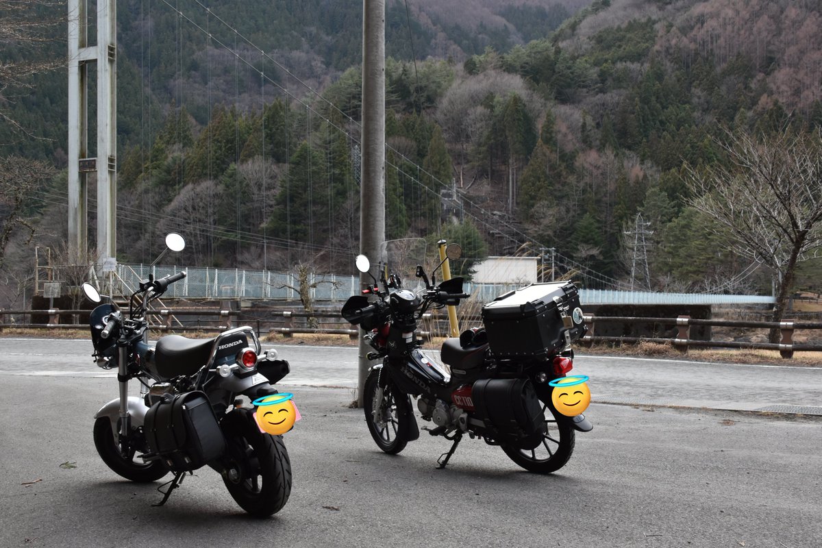 さいひる tweet media