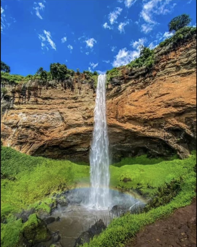 Austin Safari tweet media