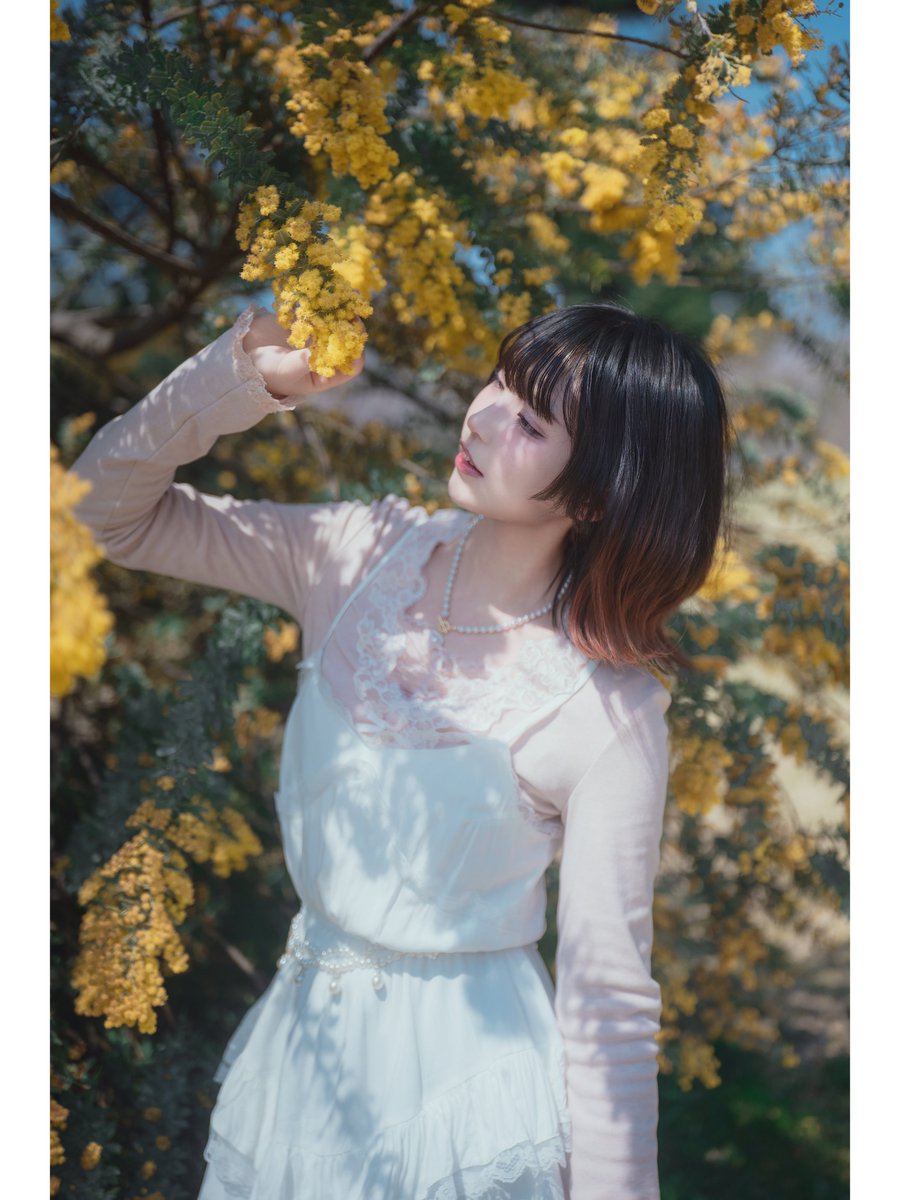 sHaw📸 tweet media