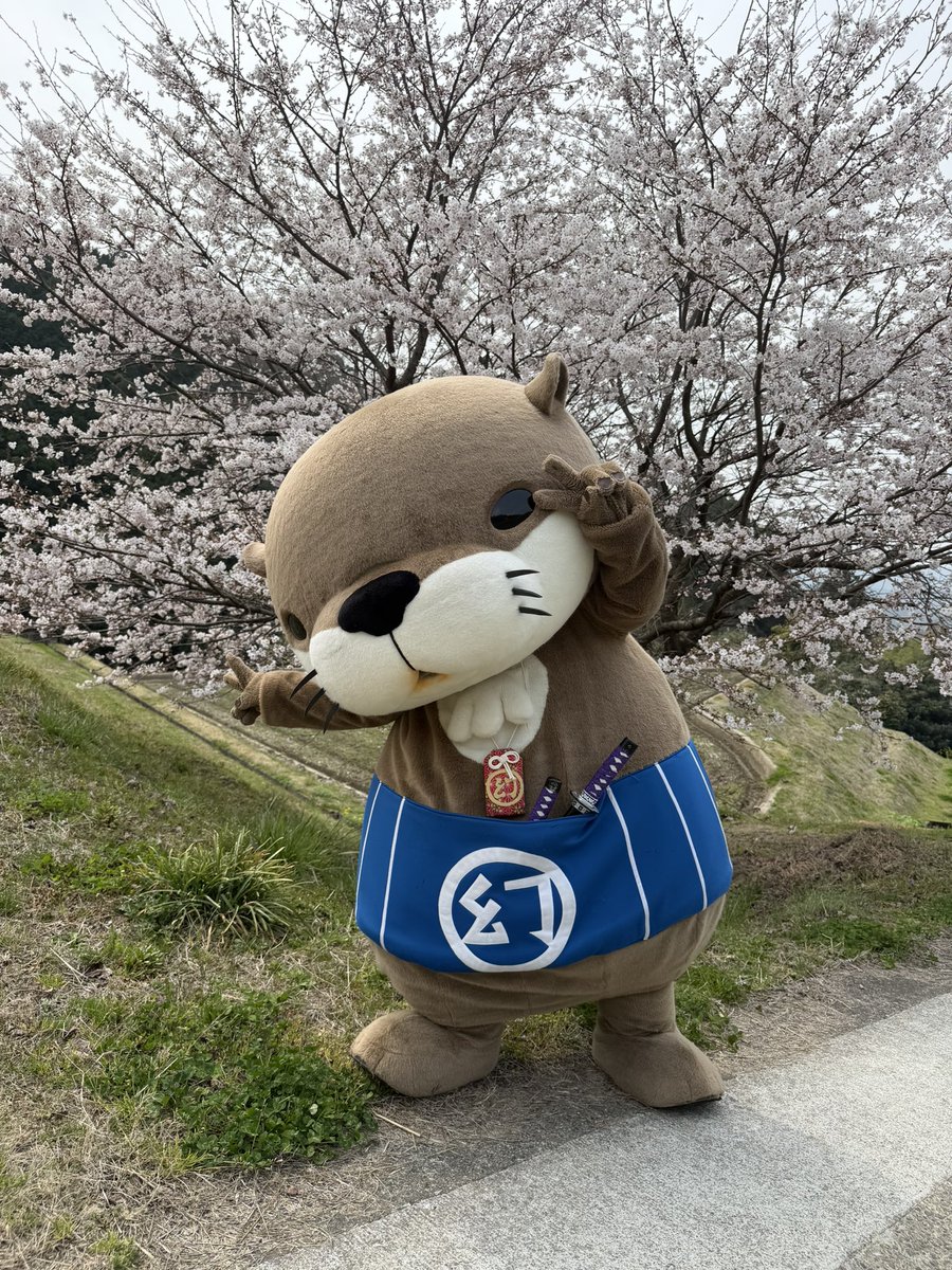 ニホンカワウソ幻(げん)ちゃん【公式】 tweet media