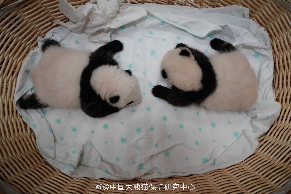 🫧AubE🫧Ing🫧 tweet media