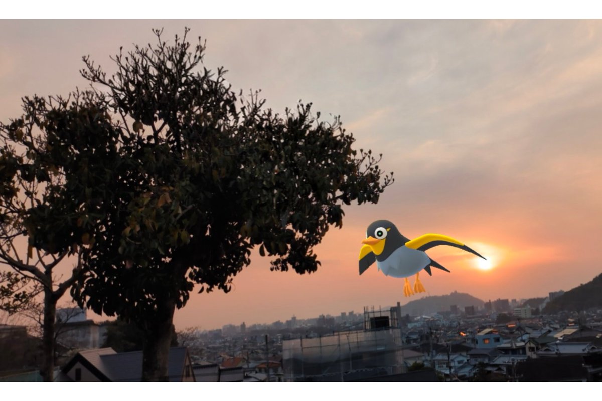 一条悟 tweet media