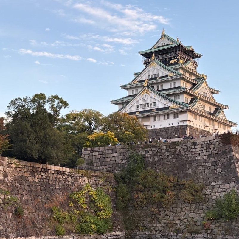 関西ないと会@めい🎀 tweet media