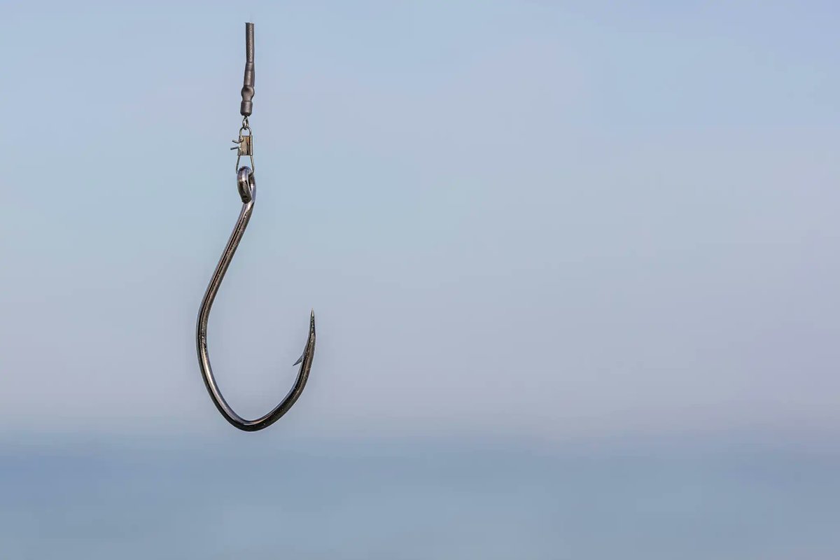 CSO Spain tweet media