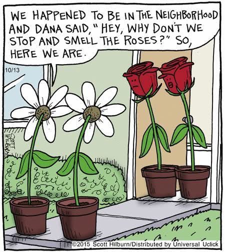 the garden gnome tweet media