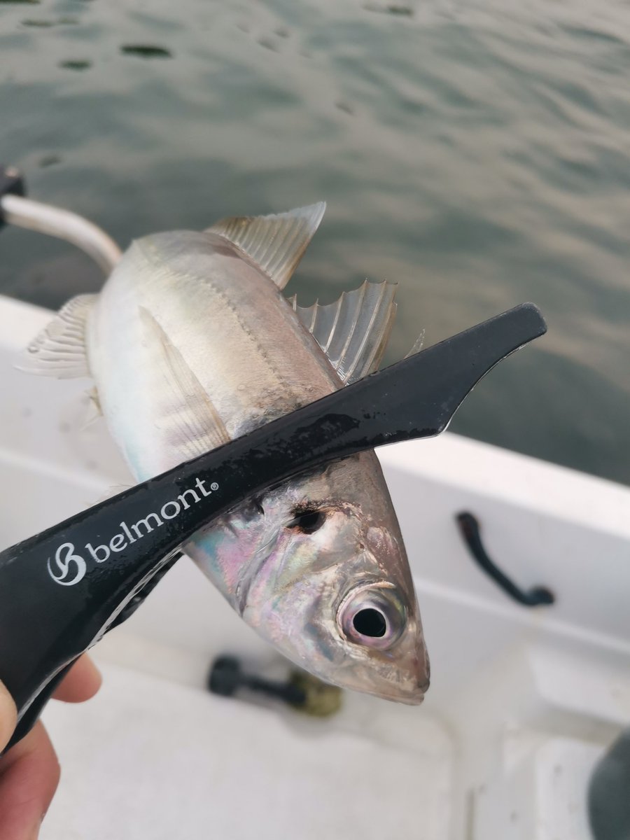 つだ_21style tweet media