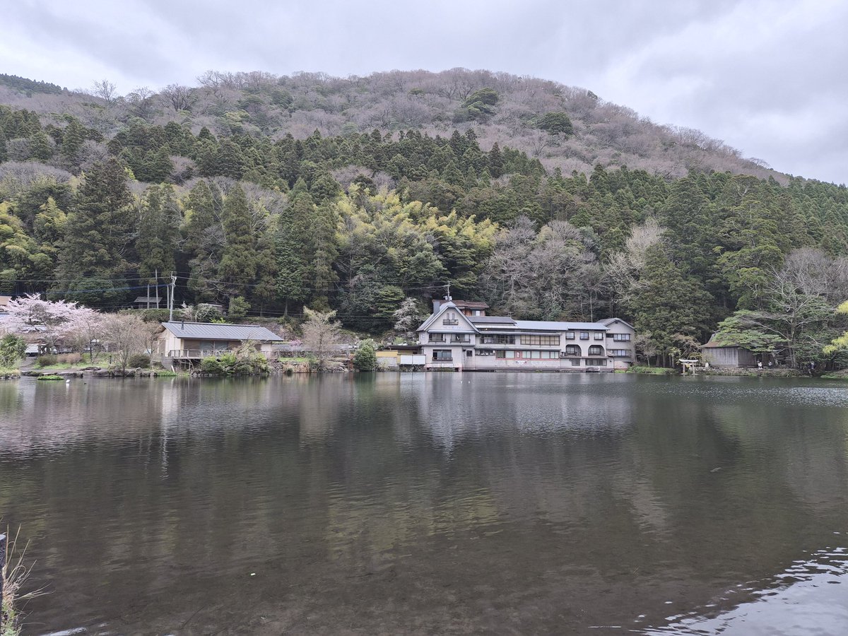 Koki Ito 高麗大学・政治外交学科 tweet media