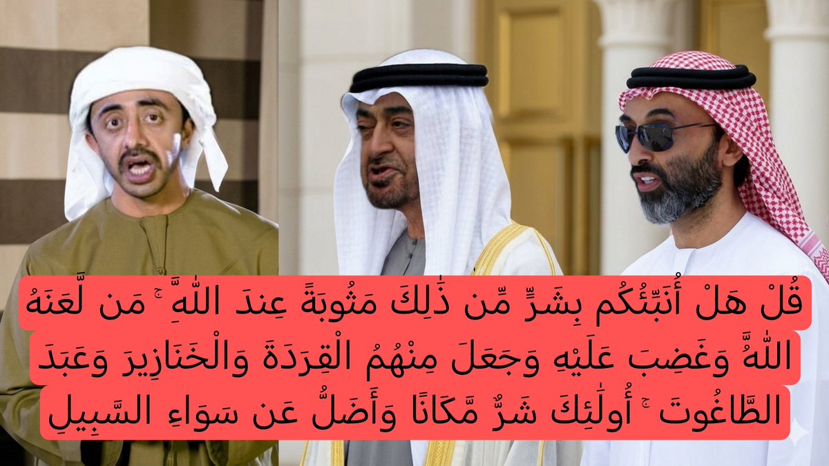 hader hassan tweet media