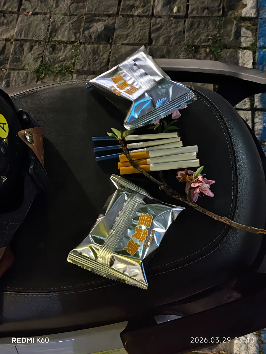 菠萝🍍 tweet media