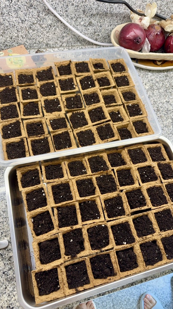 Melchior tweet media