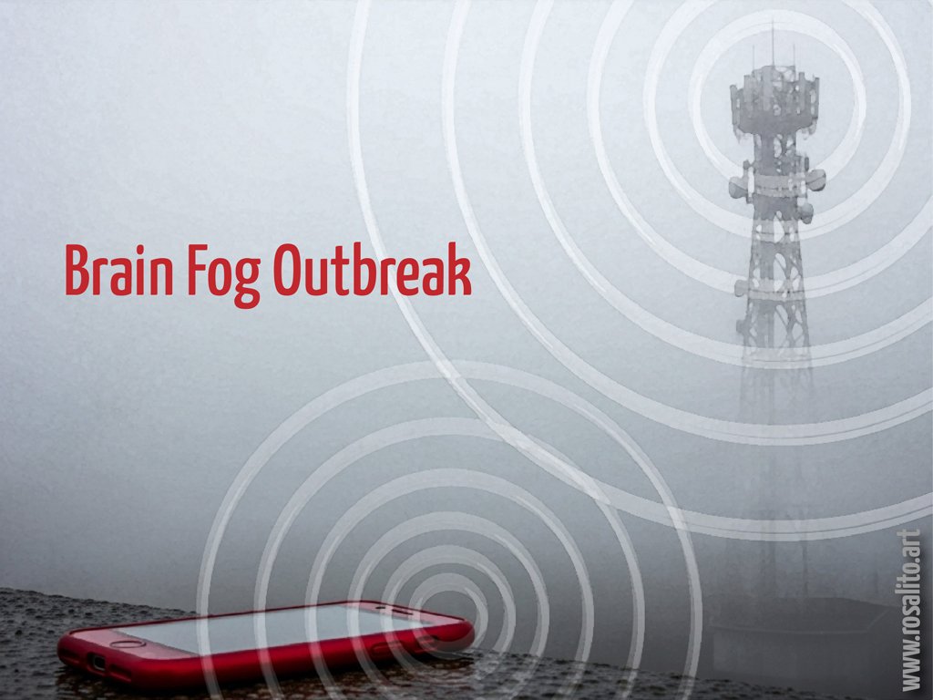 Rosalito EHS (@rosalitoehs) on Twitter photo 