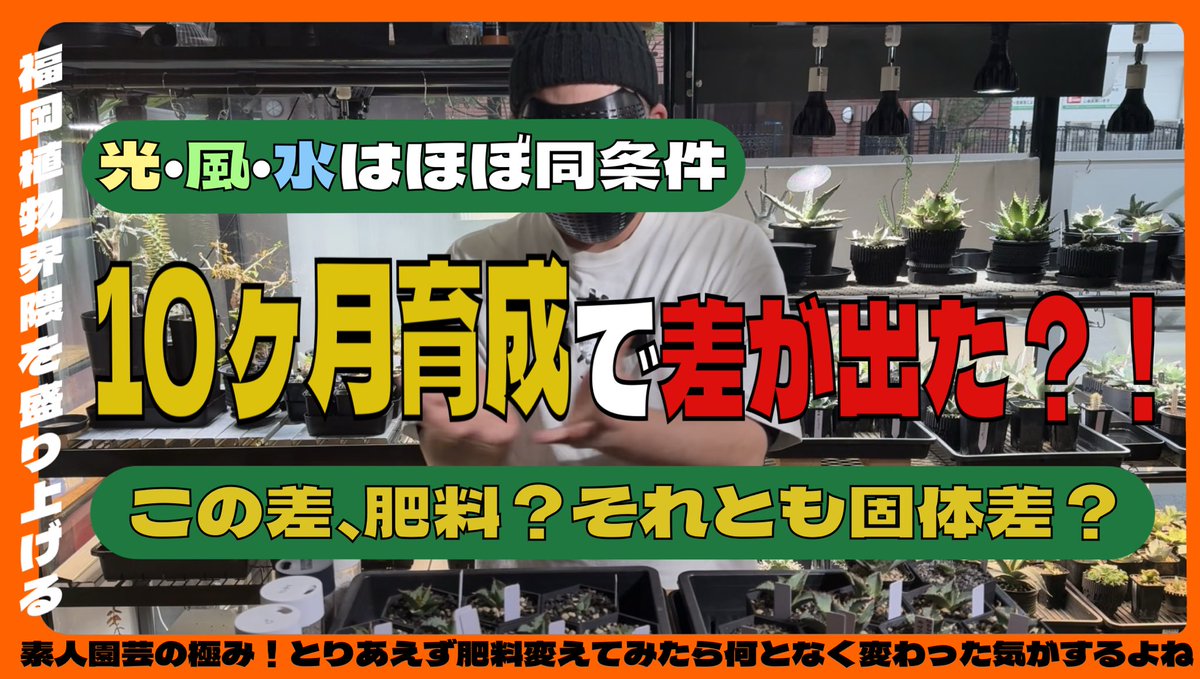 あろ氏 tweet media