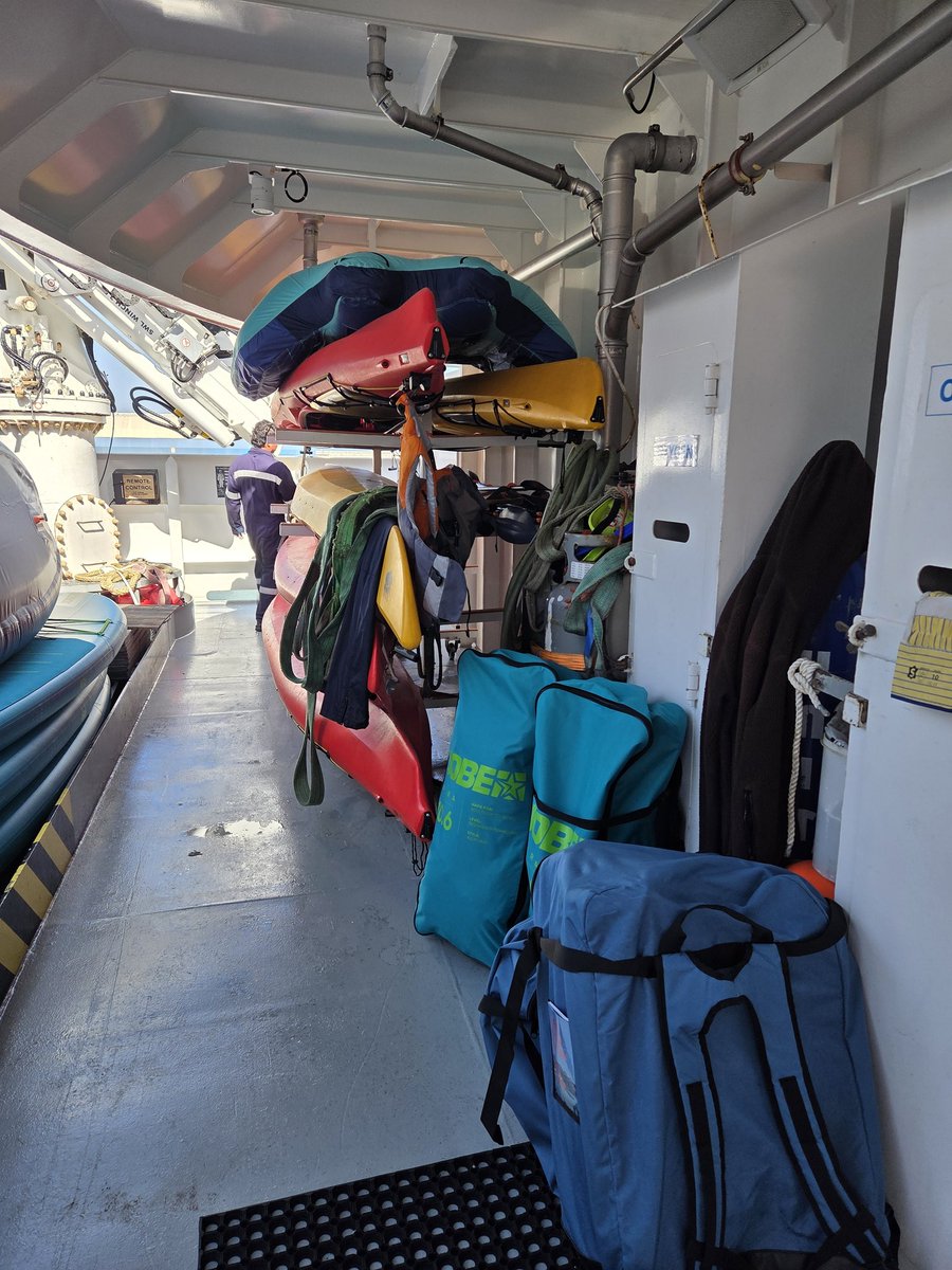 not reservoir dog tweet media