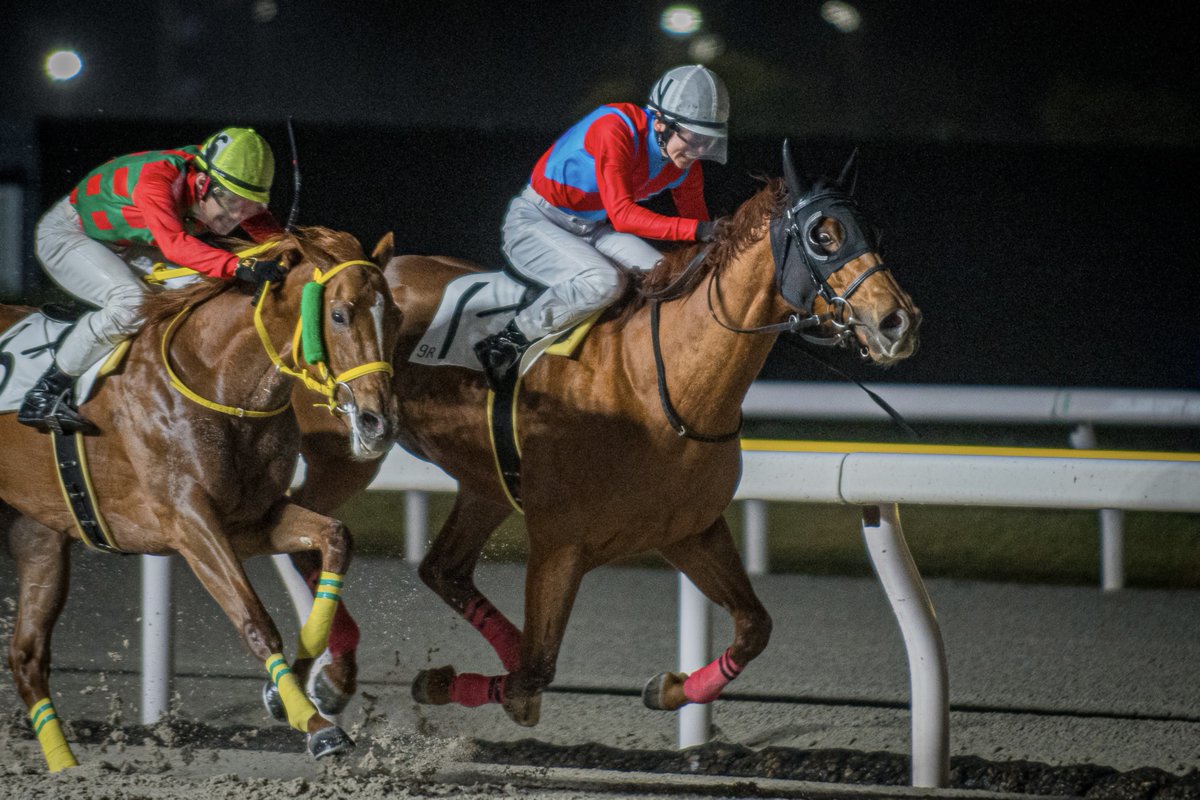 🌻𝔸𝕞𝕚𝕔𝕙𝕚🐣 tweet media