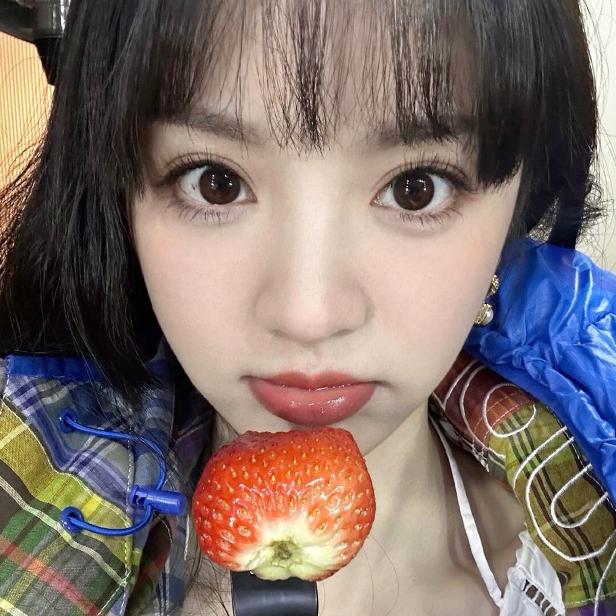 이, won (๑ᵔ⤙ᵔ๑) tweet media