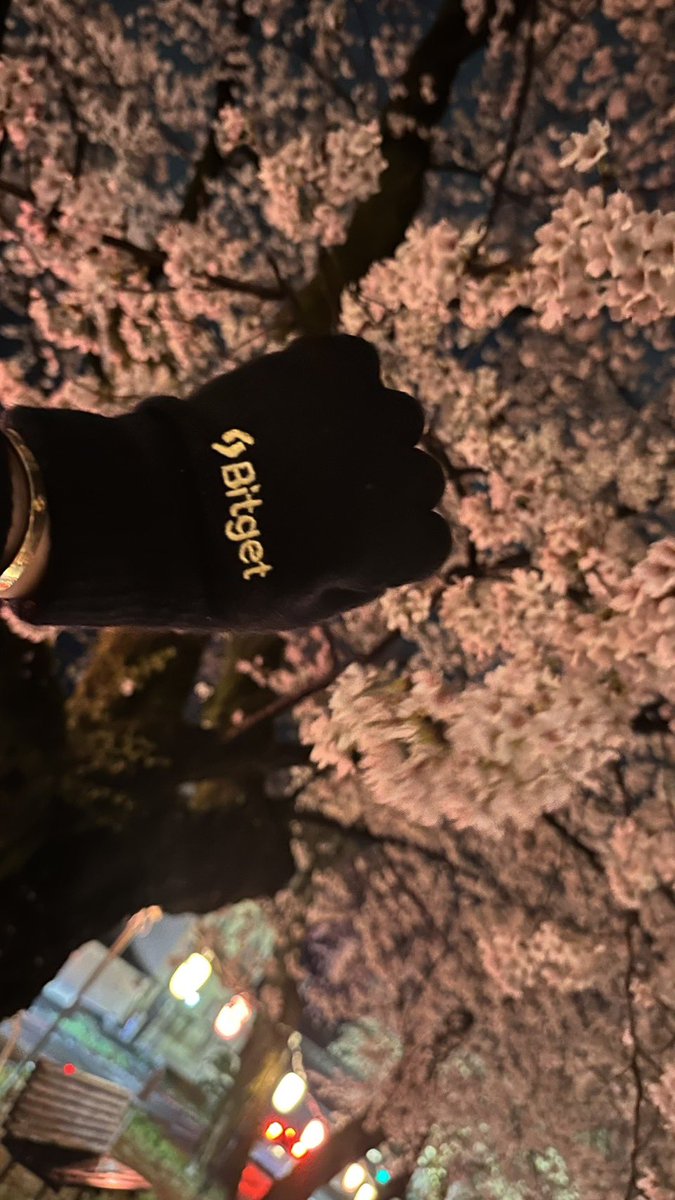 あんころ🧡🌈 tweet media