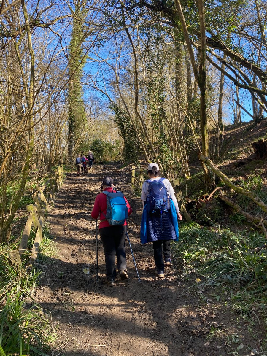 icantexplainmy3's tweet photo. https://t.co/LqZvNaV6ZS writing about walks. https://t.co/X5hD9qGUmn