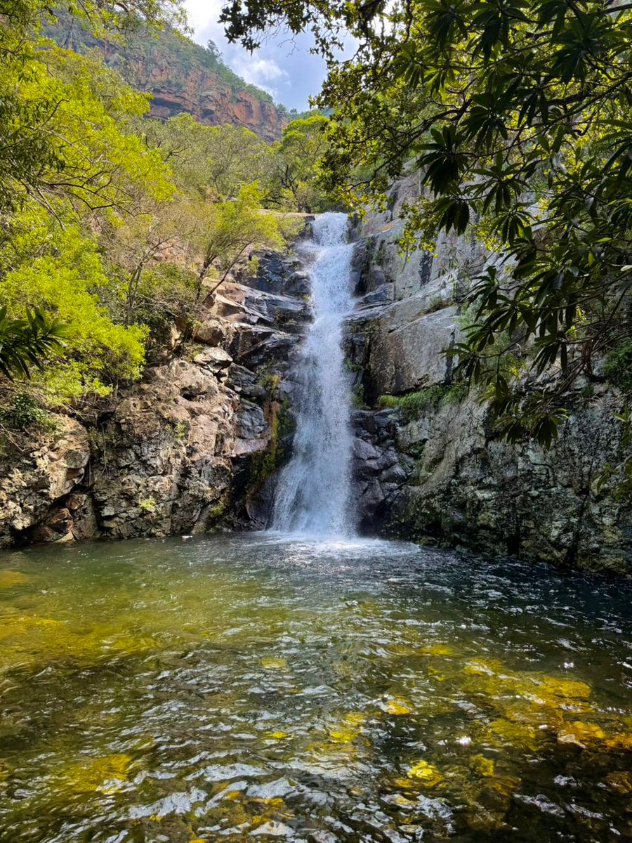 Swadini, A Forever Resort tweet media